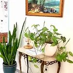 & Flower - Private Bedrooms בית הארחה *