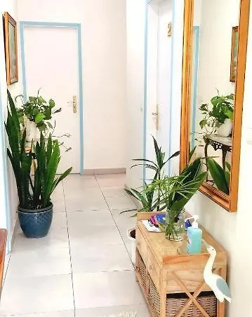 Maison d'hôtes & Flower - Private Bedrooms Funchal (Madeira)