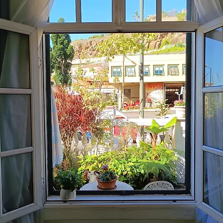 Guest house & Flower - Private Bedrooms Funchal (Madeira)